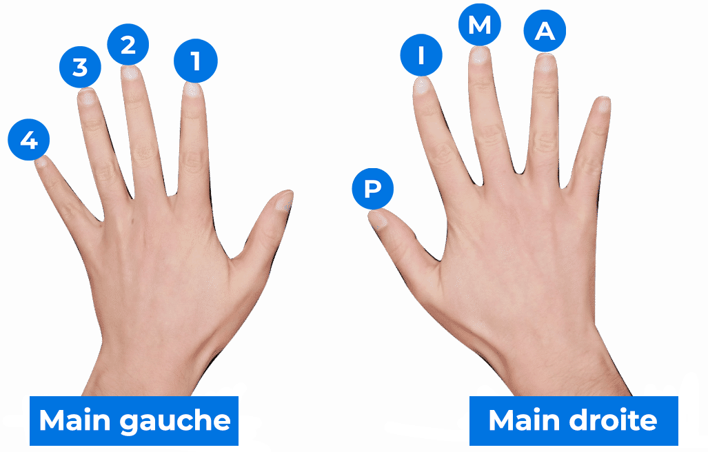 Numérotation des doigts de la main droite et de la main gauche pour accord guitare