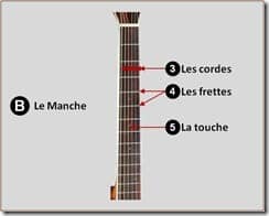 Anatomie guitare accoustique-manche