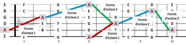 notes du manche de guitare forme octave