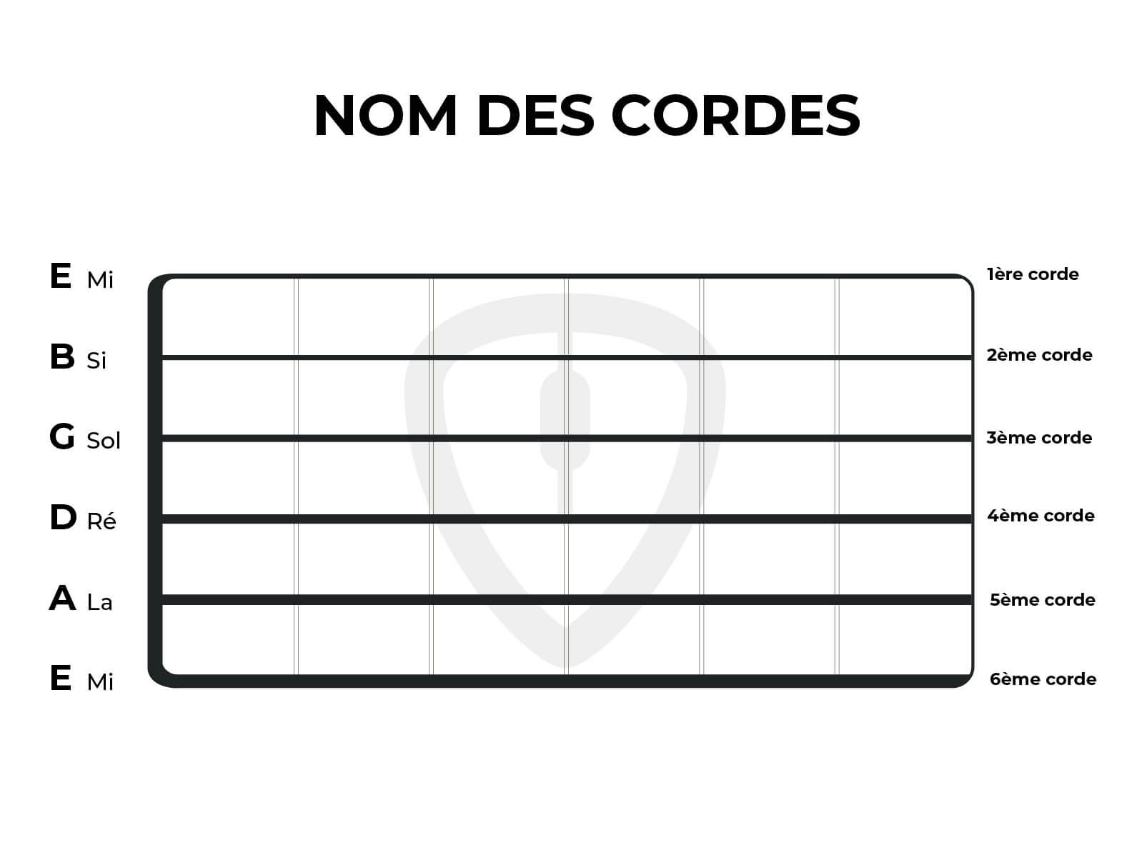 Le nom des cordes pour connaitre chaque note sur le manche de guitare