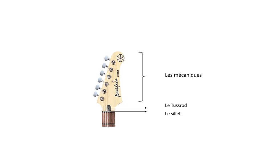 Anatomie guitare électrique tête | MyGuitare