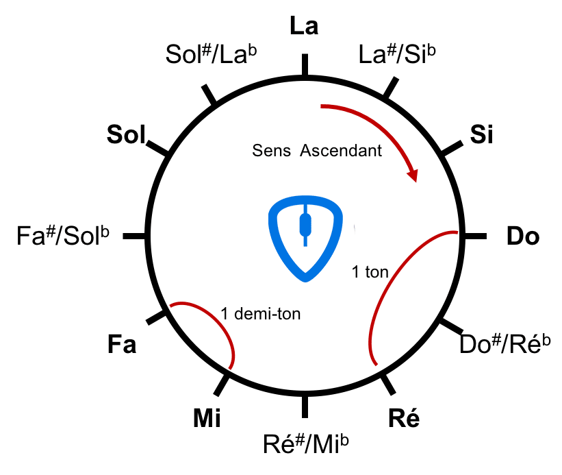 Cercle des notes de musique | MyGuitare