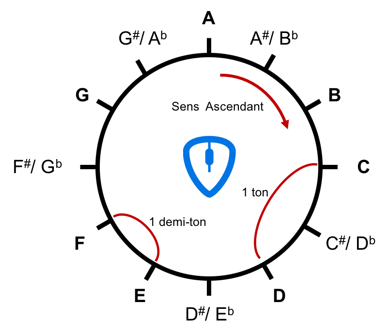 Cercle des notes de musique en notation anglaise | MyGuitare