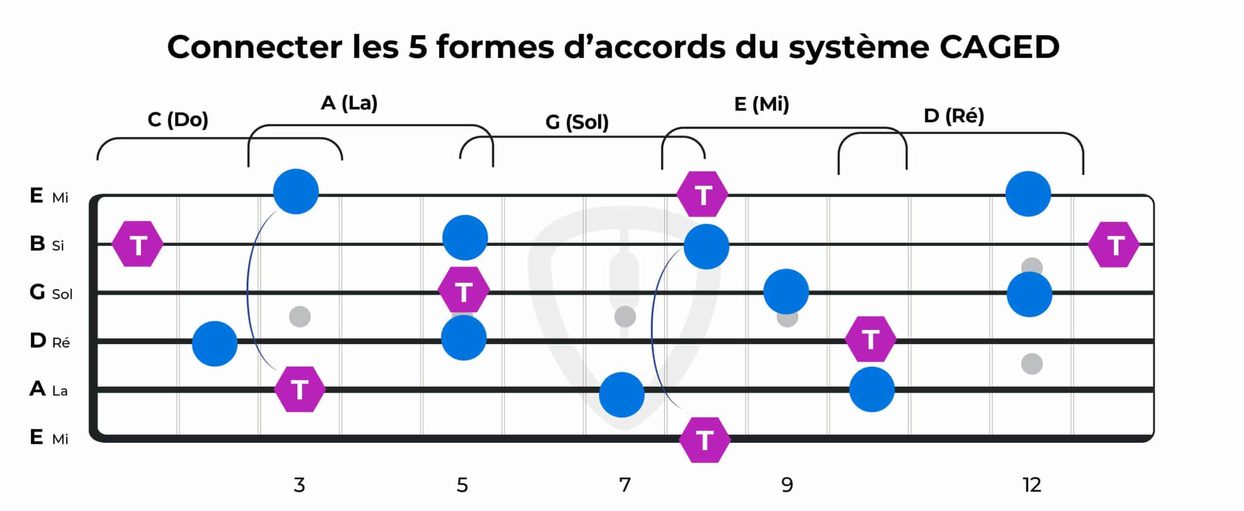 CAGED : 5 formes d'accords