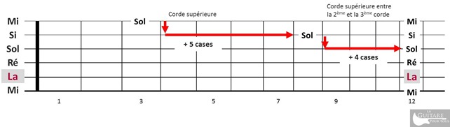 Comprendre les notes du manche de guitare - règle des 5 cases | MyGuitare